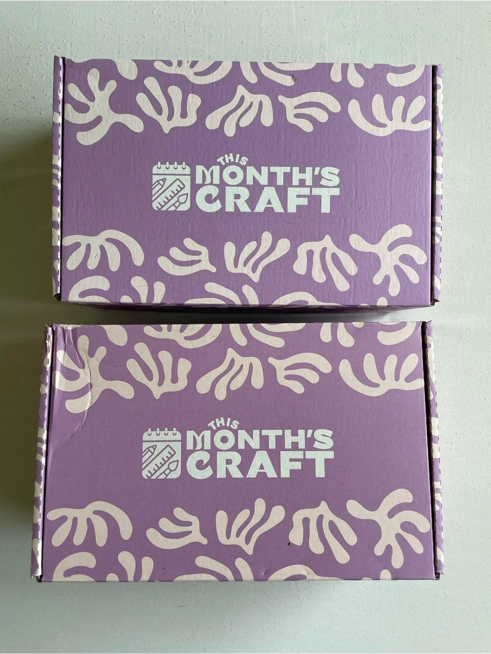 This Month’s Craft / Set of 2 / Diamond Painting Kit & Soap Making Kit Combo